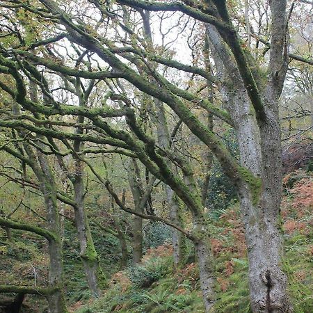 Relaxing Pet Friendly 2-Bed Cottage In Rhandirmwyn Llandovery Bagian luar foto