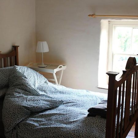 Relaxing Pet Friendly 2-Bed Cottage In Rhandirmwyn Llandovery Bagian luar foto