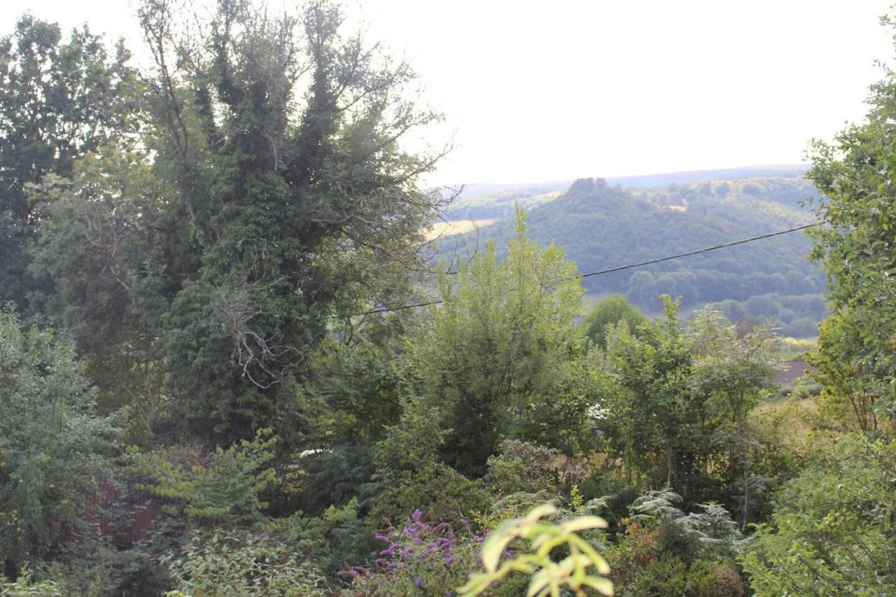 Relaxing Pet Friendly 2-Bed Cottage In Rhandirmwyn Llandovery Bagian luar foto