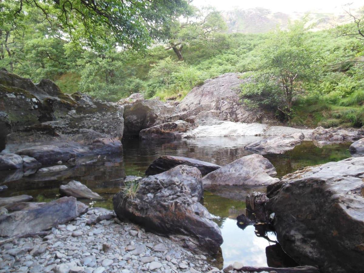 Relaxing Pet Friendly 2-Bed Cottage In Rhandirmwyn Llandovery Bagian luar foto