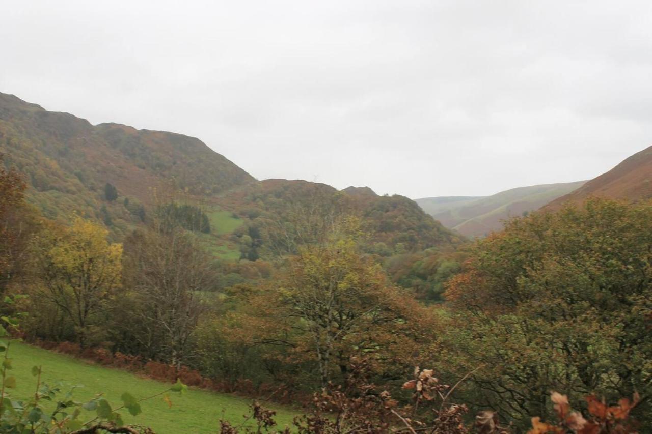 Relaxing Pet Friendly 2-Bed Cottage In Rhandirmwyn Llandovery Bagian luar foto